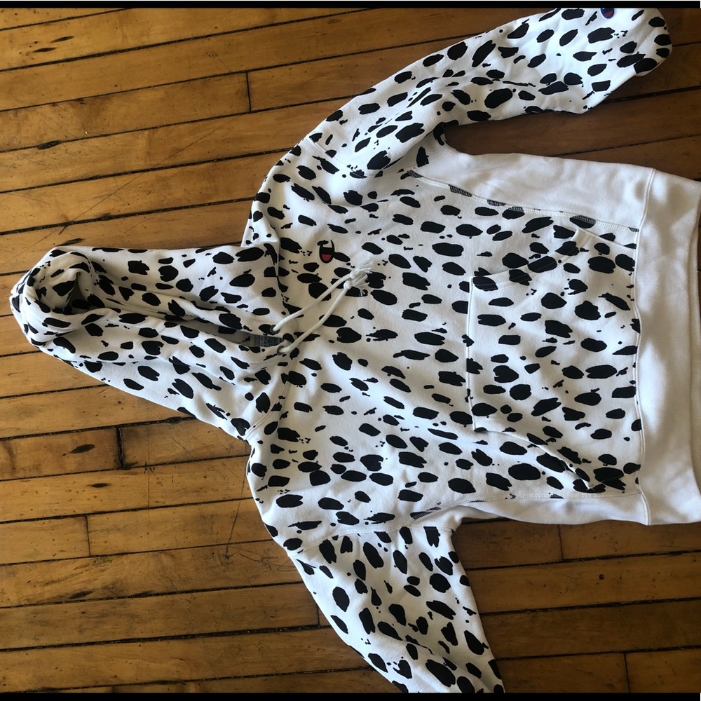 Champion Hoodie